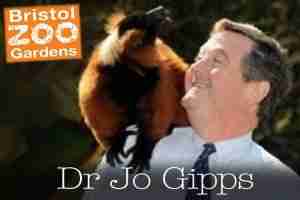 dr-jo-gipps-300x200 bristol zoo moving