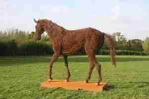 rupert-till-horse-300x200