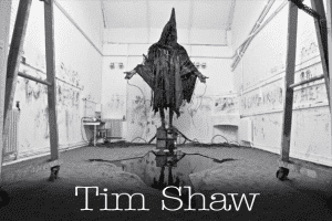 tim-shaw-s-300x200