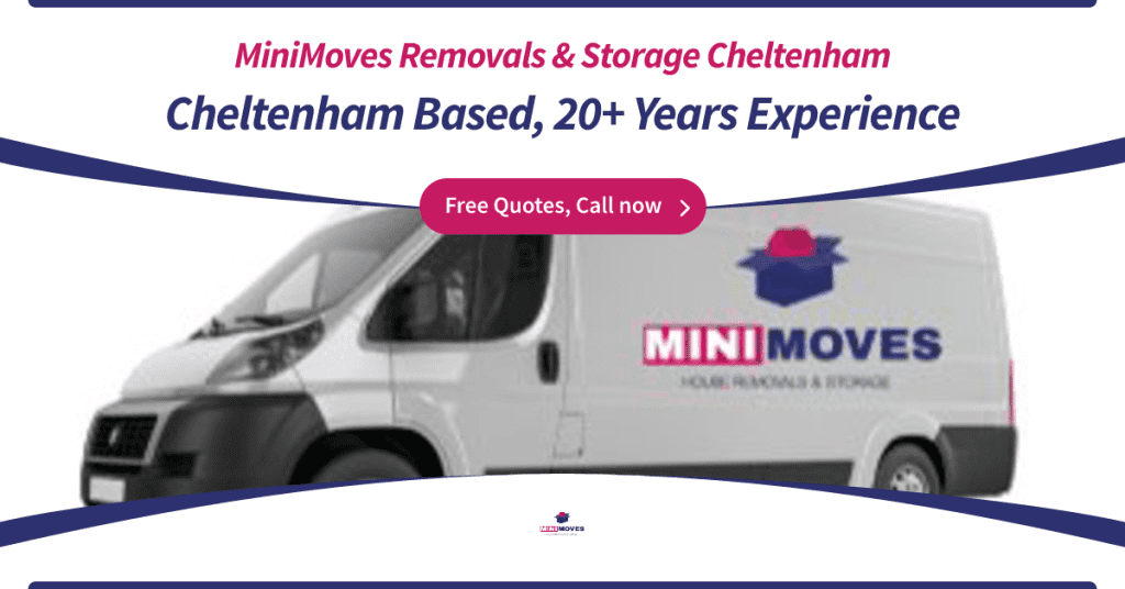 MiniMoves removals